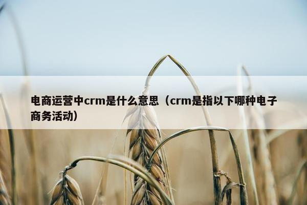 电商运营中crm是什么意思（crm是指以下哪种电子商务活动）