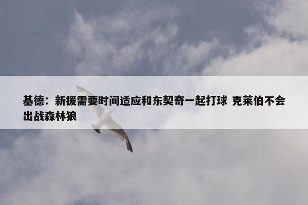 基德：新援需要时间适应和东契奇一起打球 克莱伯不会出战森林狼