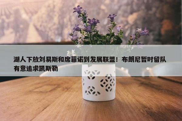 湖人下放刘易斯和席菲诺到发展联盟！布朗尼暂时留队 有意追求凯斯勒