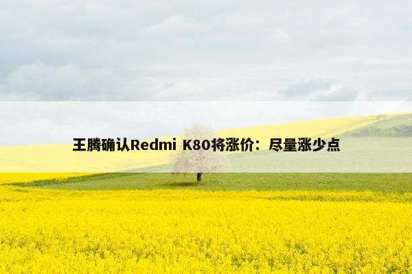 王腾确认Redmi K80将涨价：尽量涨少点