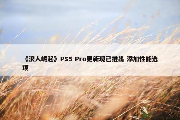 《浪人崛起》PS5 Pro更新现已推出 添加性能选项