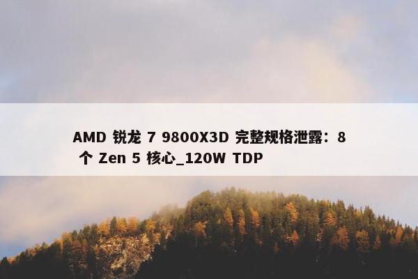 AMD 锐龙 7 9800X3D 完整规格泄露：8 个 Zen 5 核心_120W TDP