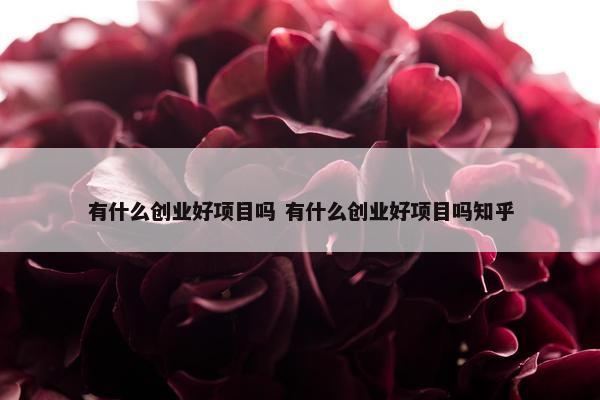 有什么创业好项目吗 有什么创业好项目吗知乎