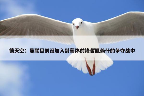 德天空：曼联目前没加入到葡体前锋哲凯赖什的争夺战中