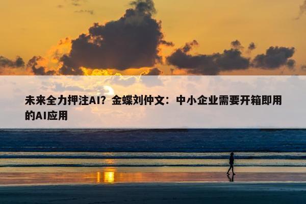 未来全力押注AI？金蝶刘仲文：中小企业需要开箱即用的AI应用