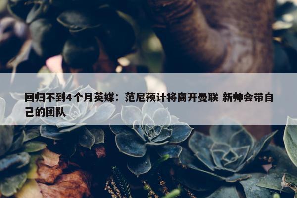 回归不到4个月英媒：范尼预计将离开曼联 新帅会带自己的团队