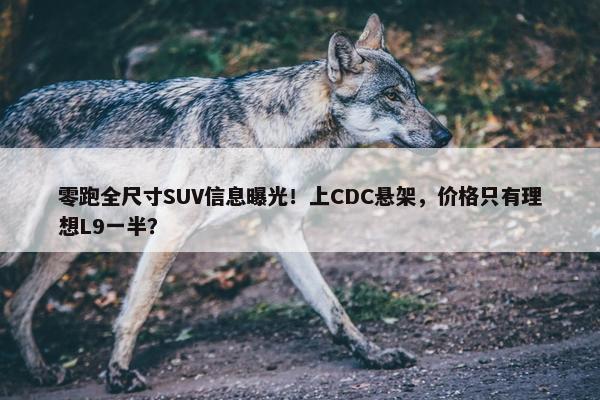 零跑全尺寸SUV信息曝光！上CDC悬架，价格只有理想L9一半？