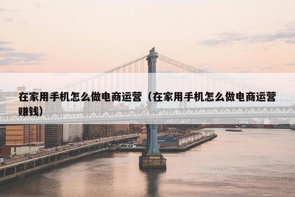 在家用手机怎么做电商运营（在家用手机怎么做电商运营赚钱）