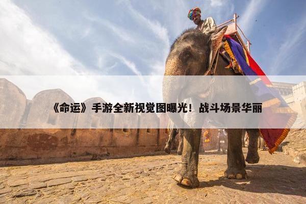 《命运》手游全新视觉图曝光！战斗场景华丽