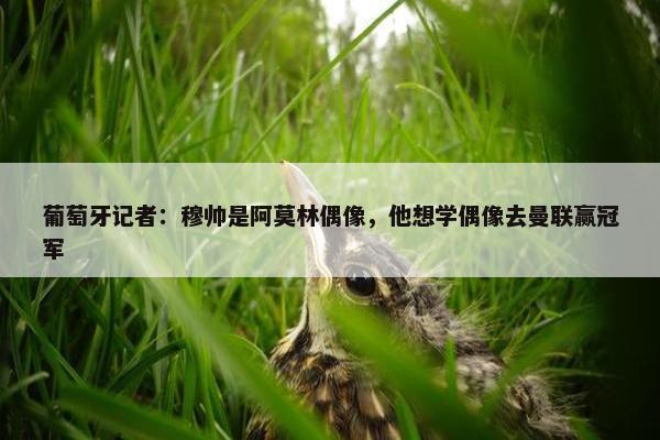 葡萄牙记者：穆帅是阿莫林偶像，他想学偶像去曼联赢冠军