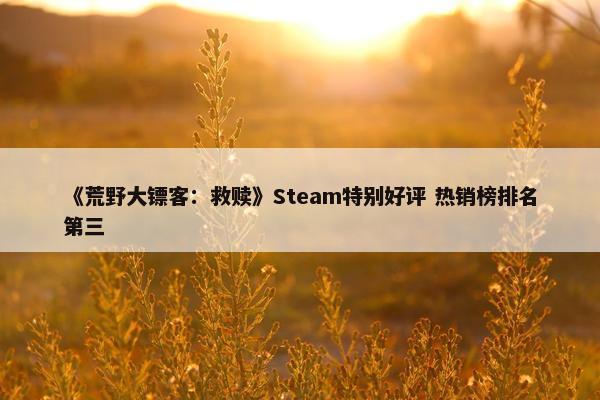 《荒野大镖客：救赎》Steam特别好评 热销榜排名第三