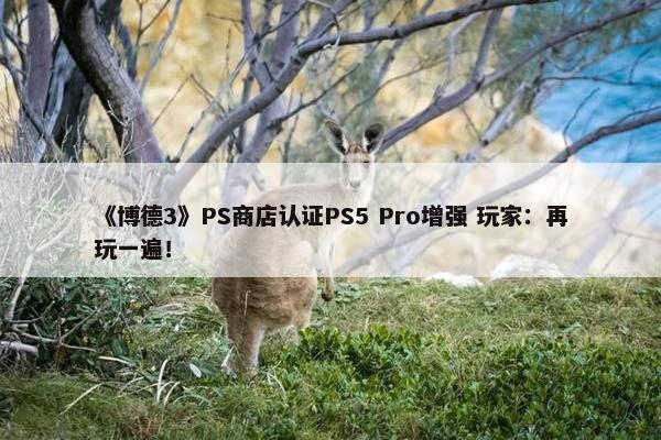 《博德3》PS商店认证PS5 Pro增强 玩家：再玩一遍！