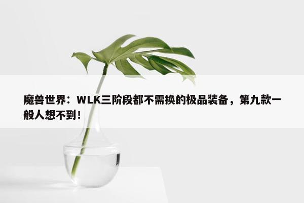 魔兽世界：WLK三阶段都不需换的极品装备，第九款一般人想不到！