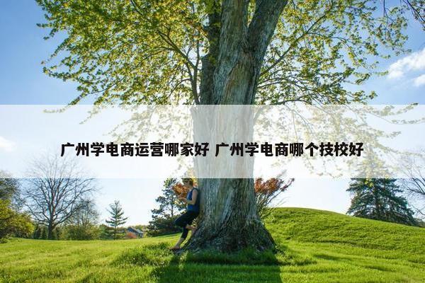 广州学电商运营哪家好 广州学电商哪个技校好