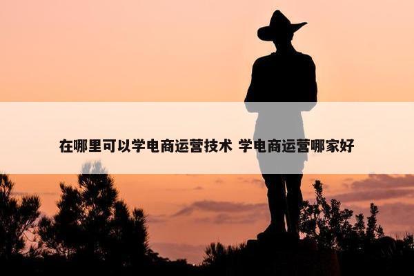 在哪里可以学电商运营技术 学电商运营哪家好