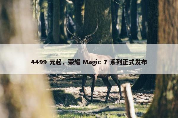 4499 元起，荣耀 Magic 7 系列正式发布