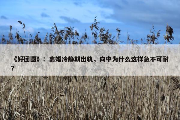 《好团圆》：离婚冷静期出轨，向中为什么这样急不可耐？