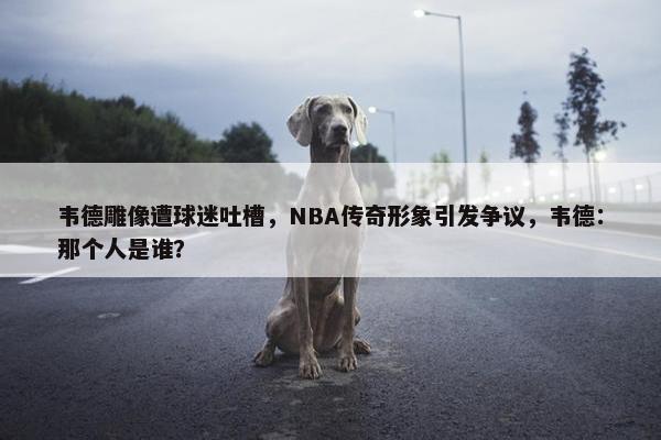 韦德雕像遭球迷吐槽，NBA传奇形象引发争议，韦德：那个人是谁？