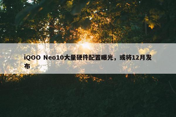 iQOO Neo10大量硬件配置曝光，或将12月发布