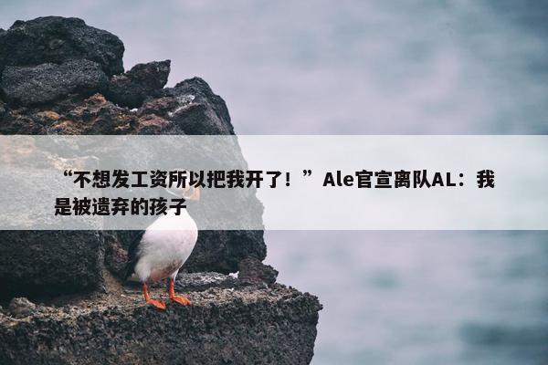 “不想发工资所以把我开了！”Ale官宣离队AL：我是被遗弃的孩子