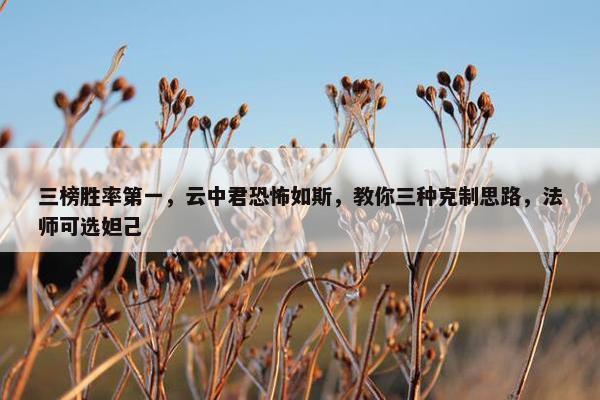 三榜胜率第一，云中君恐怖如斯，教你三种克制思路，法师可选妲己