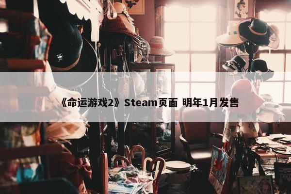 《命运游戏2》Steam页面 明年1月发售