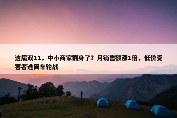 这届双11，中小商家翻身了？月销售额涨1倍，低价受害者逃离车轮战