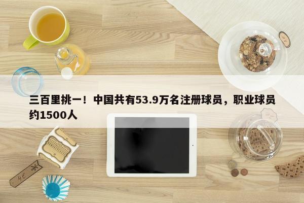 三百里挑一！中国共有53.9万名注册球员，职业球员约1500人