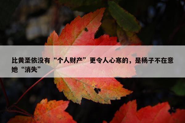 比黄圣依没有“个人财产”更令人心寒的，是杨子不在意她“消失”