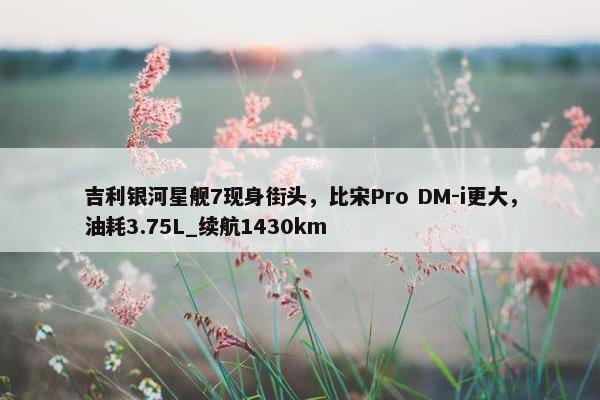 吉利银河星舰7现身街头，比宋Pro DM-i更大，油耗3.75L_续航1430km