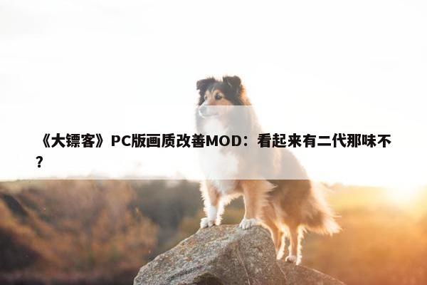 《大镖客》PC版画质改善MOD：看起来有二代那味不？