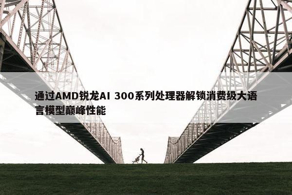 通过AMD锐龙AI 300系列处理器解锁消费级大语言模型巅峰性能