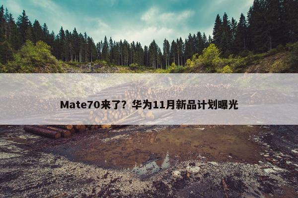 Mate70来了？华为11月新品计划曝光