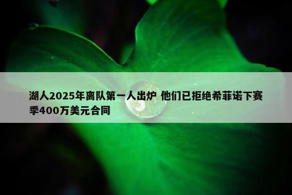 湖人2025年离队第一人出炉 他们已拒绝希菲诺下赛季400万美元合同