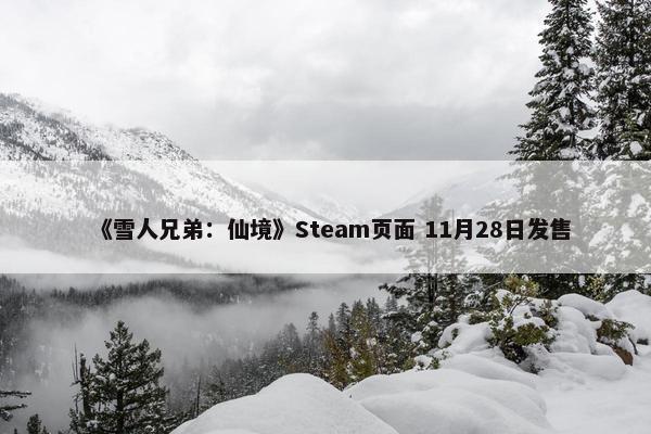 《雪人兄弟：仙境》Steam页面 11月28日发售