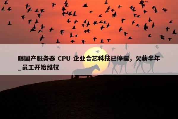 曝国产服务器 CPU 企业合芯科技已停摆，欠薪半年_员工开始维权