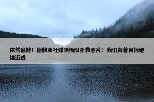 依然稳健！德赫亚社媒晒极限扑救照片：我们向着目标继续迈进