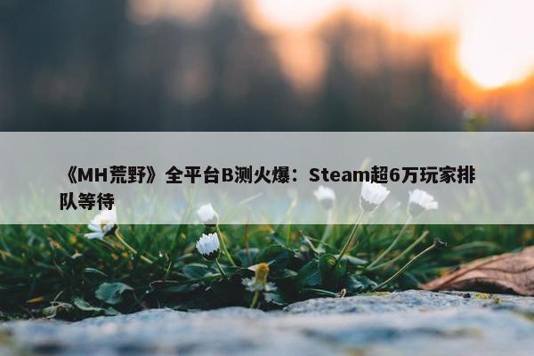 《MH荒野》全平台B测火爆：Steam超6万玩家排队等待