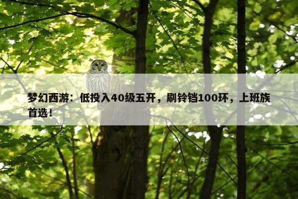 梦幻西游：低投入40级五开，刷铃铛100环，上班族首选！