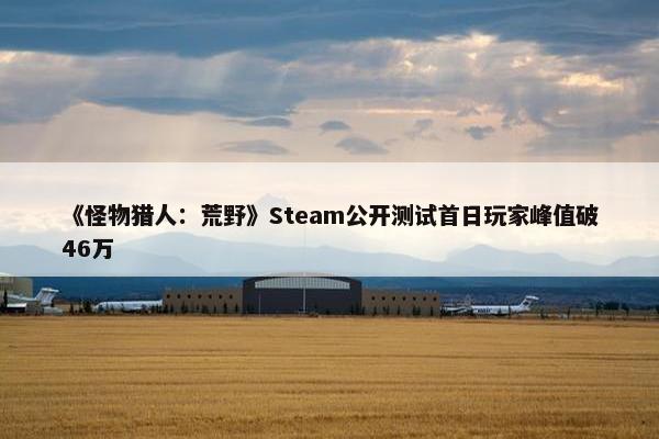 《怪物猎人：荒野》Steam公开测试首日玩家峰值破46万