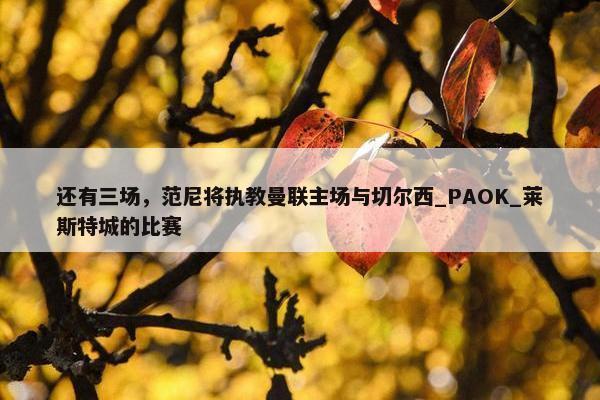 还有三场，范尼将执教曼联主场与切尔西_PAOK_莱斯特城的比赛