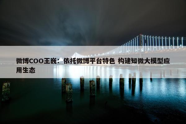 微博COO王巍：依托微博平台特色 构建知微大模型应用生态