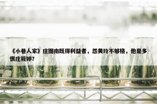 《小巷人家》庄图南既得利益者，怨黄玲不够格，他是多恨庄筱婷？