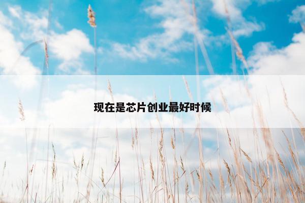 现在是芯片创业最好时候