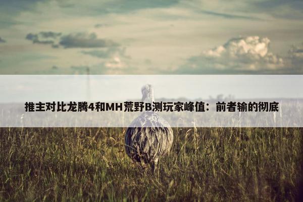 推主对比龙腾4和MH荒野B测玩家峰值：前者输的彻底