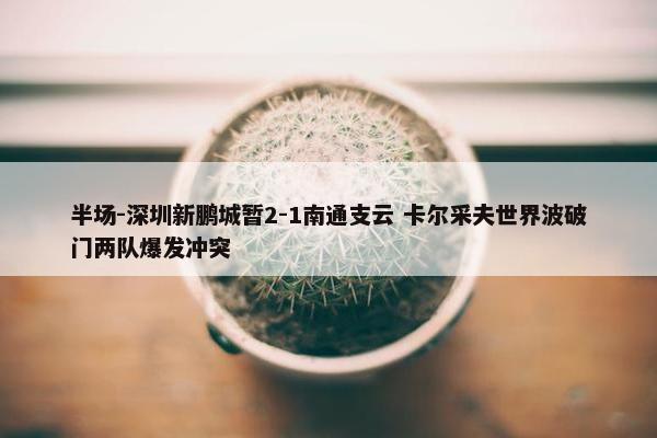 半场-深圳新鹏城暂2-1南通支云 卡尔采夫世界波破门两队爆发冲突