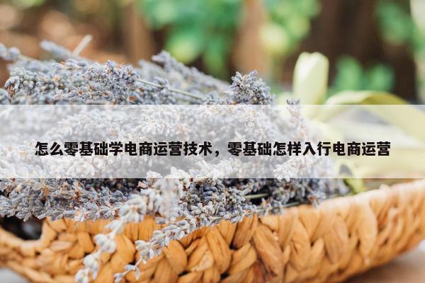 怎么零基础学电商运营技术，零基础怎样入行电商运营