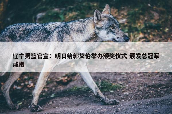 辽宁男篮官宣：明日给郭艾伦举办颁奖仪式 颁发总冠军戒指