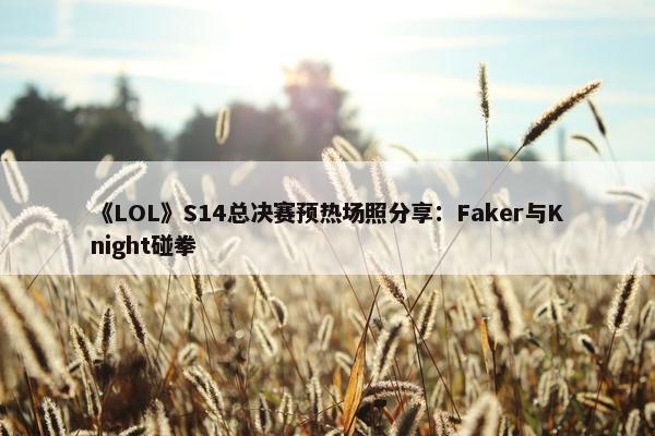 《LOL》S14总决赛预热场照分享：Faker与Knight碰拳