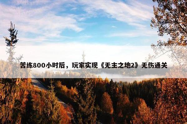 苦练800小时后，玩家实现《无主之地2》无伤通关